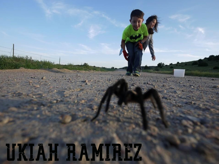 Ukiah Tarantula Hunter seconews.org 